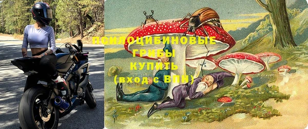 спайс Абаза
